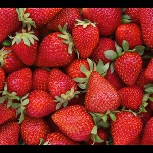 Meet your Posher, Karina